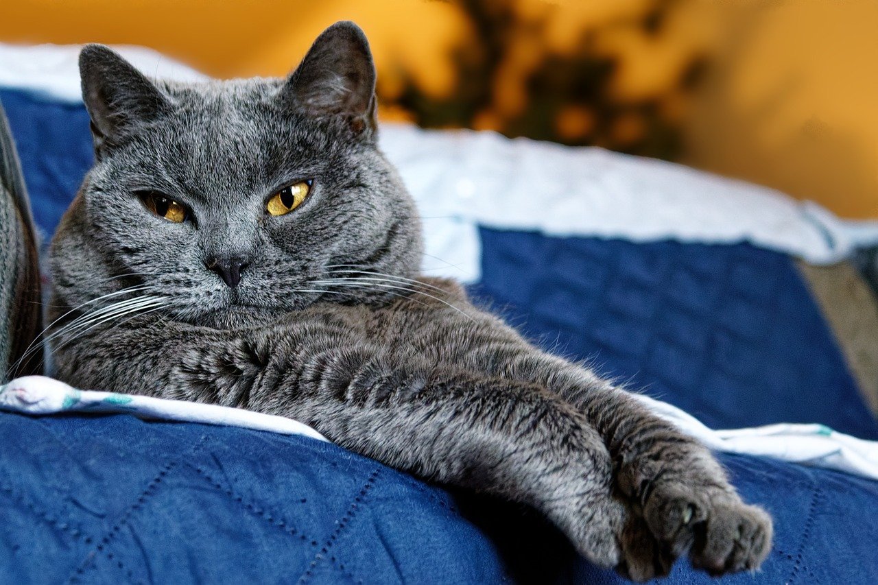 Can Confidence Determine Your Success in Sales?